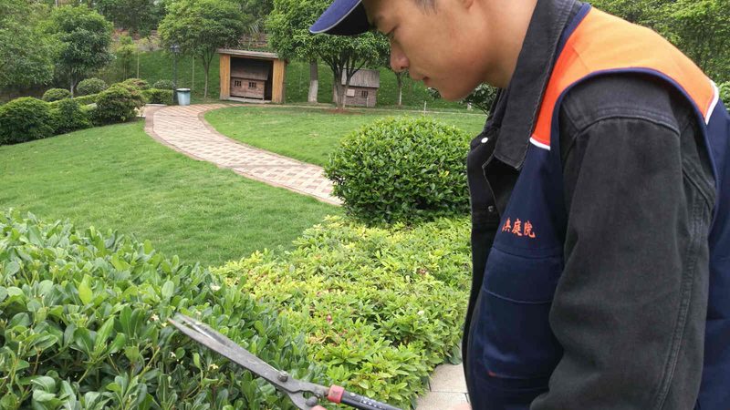 苗木种植，从细节看成败**