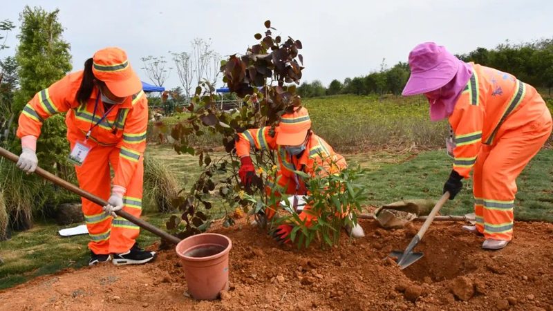 市政绿化公司代理：如何提升项目成功率**