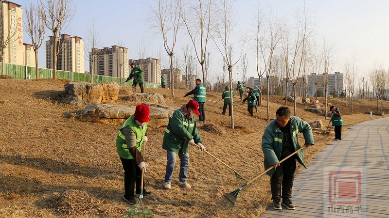道路绿化带植物配置方法：科学搭配，提升城市绿意