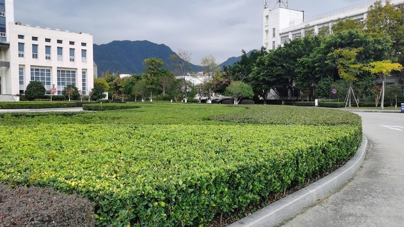 城市绿化资质标准规范：解读最新政策，助力行业发展