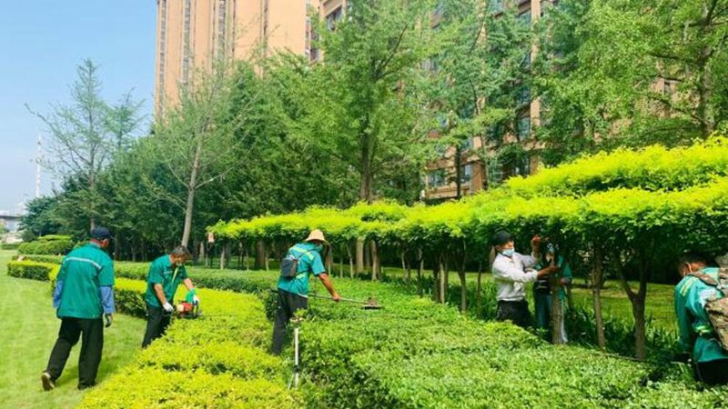 广州绿植租赁价格解析：影响因素与合理预算**