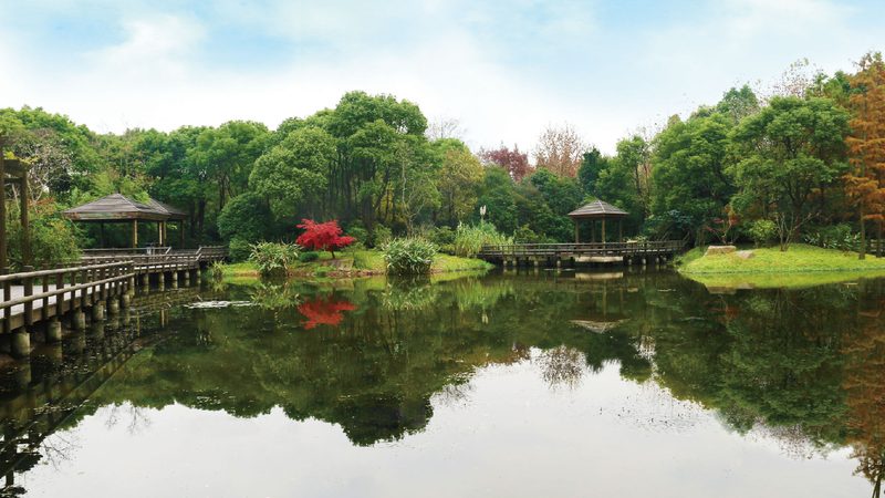 成都草坪修剪价格解析：影响因素与合理预算