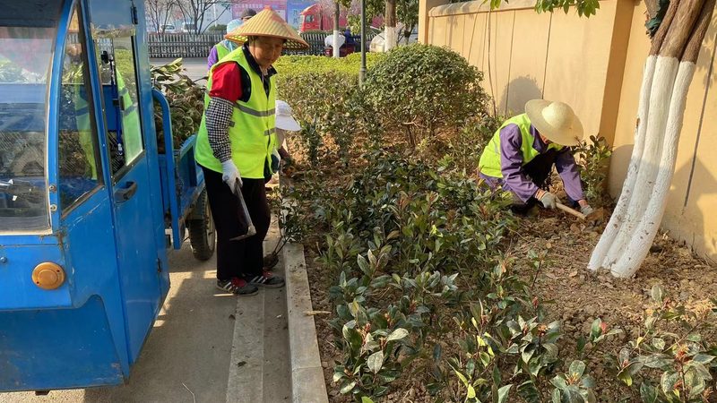 以下是几家成都地区知名的小区绿化设计公司，供您参考：