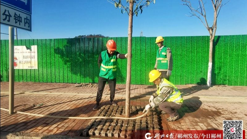 绿化养护工证和绿化工证区别