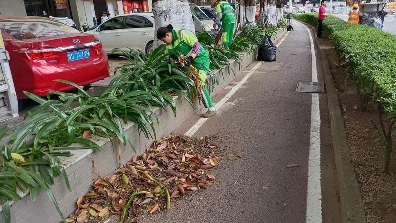 垂直绿化墙，价格几何？揭秘其成本构成与选择要点**