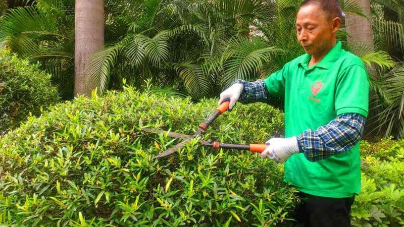 园林绿化资质要求企业具备一定的技术力量、设备能力和管理水平。具体包括：